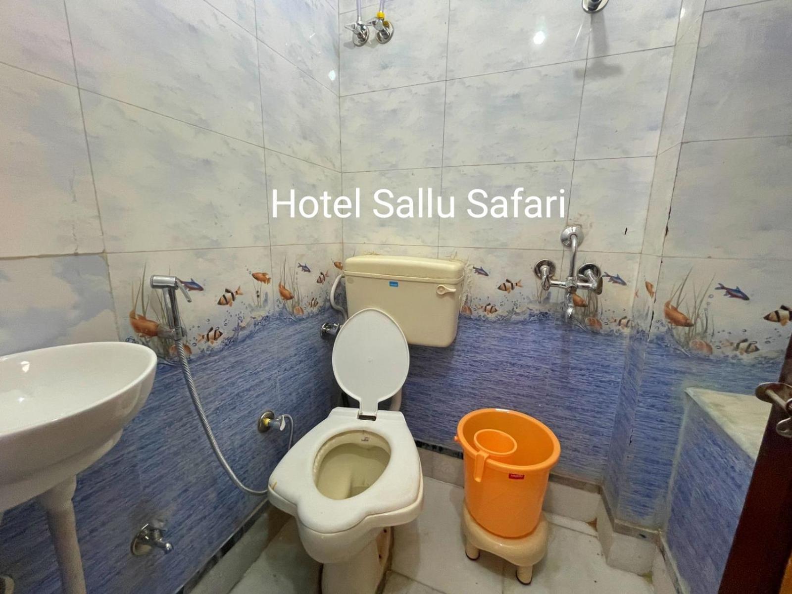 Hotel Sallu Safari ジャイサルメール エクステリア 写真