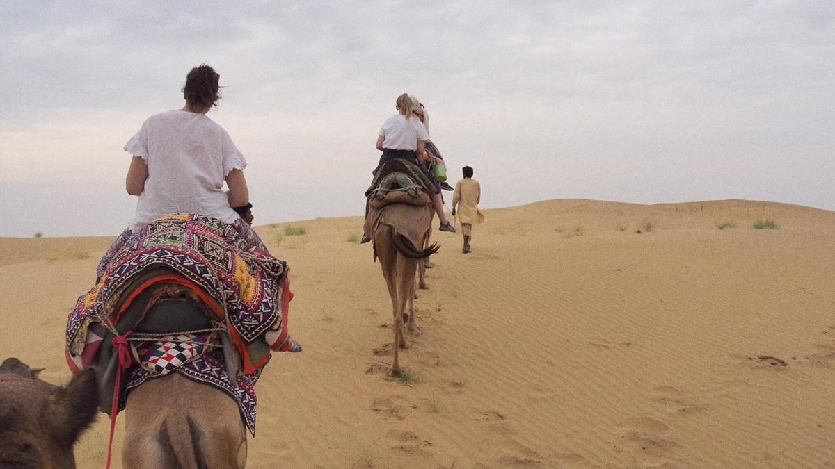 Hotel Sallu Safari ジャイサルメール エクステリア 写真